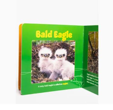 Mountains Mamas &amp; Babies Book