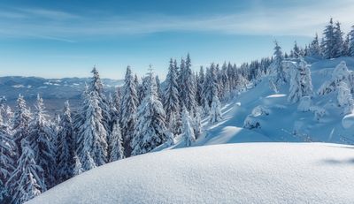 FIRST SNOWFALL CONTEST