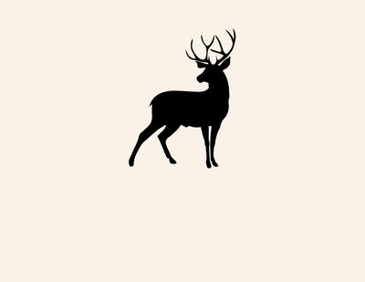 BIG BUCK &amp; BEAR CONTEST
