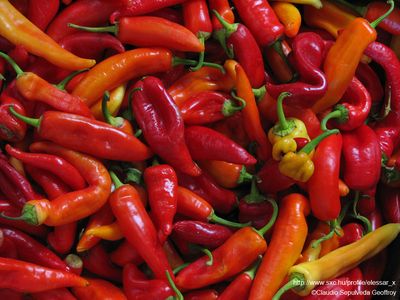 CHILI COOK-OFF