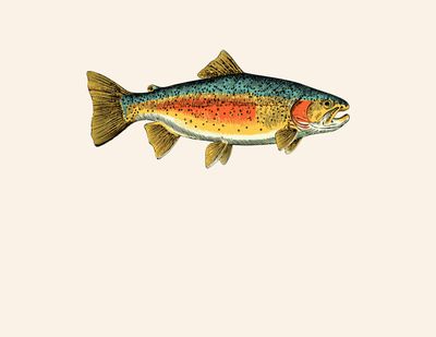 YOUTH FISHING CONTEST