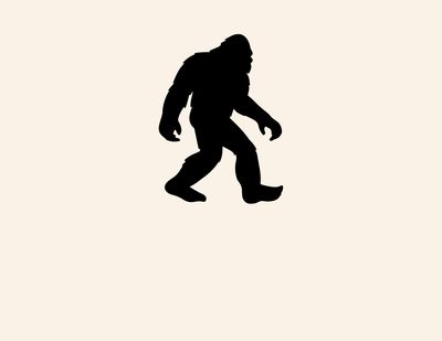 BIGFOOT MERCH