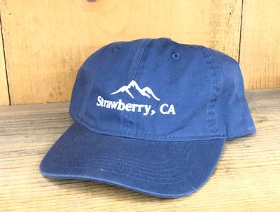 Dad Hat | Navy
