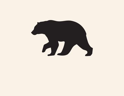 Bear Contest - SUBMIT FORM BELOW
