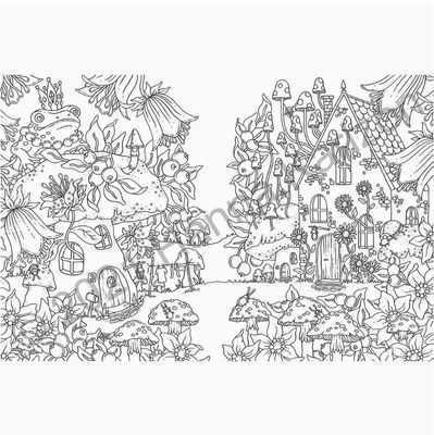 Forest Coloring Book