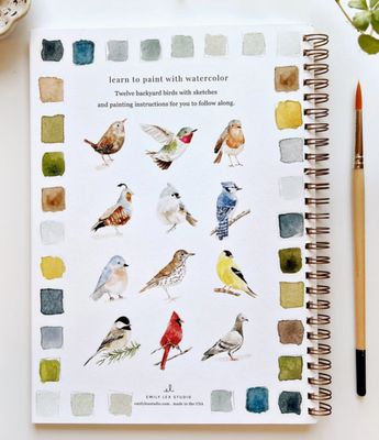 Bird Watercolor Workbook