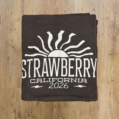 2026 Sweatshirt Blanket | Grey