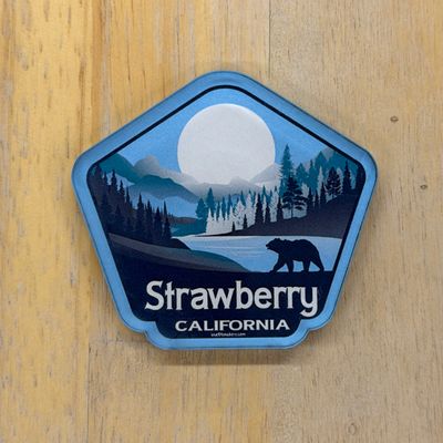 Blue Bear Magnet '26
