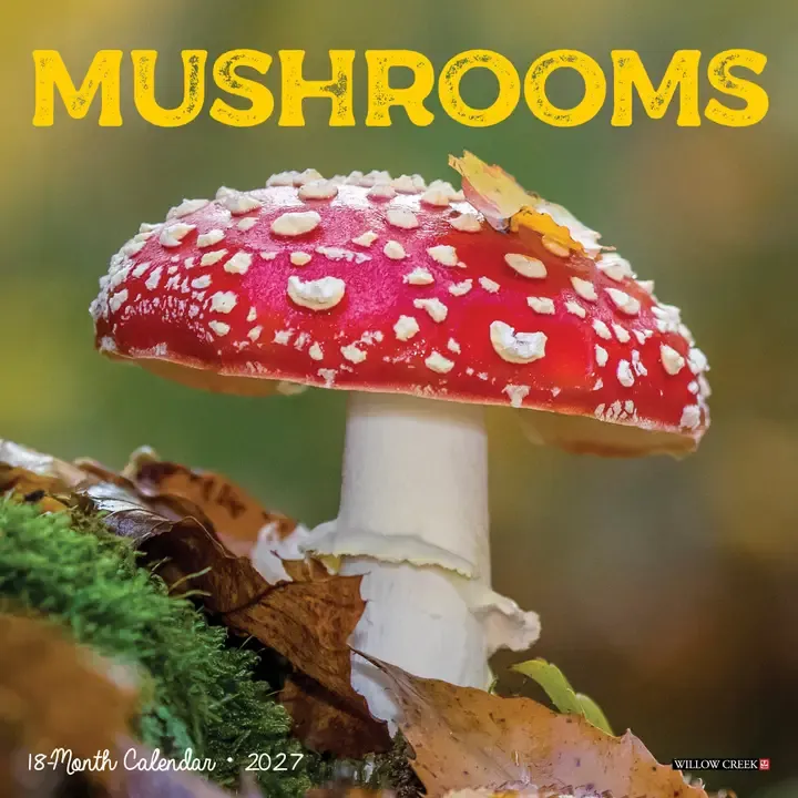 2027 Mushrooms Mini Wall Calendar