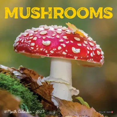 2027 Mushrooms Mini Wall Calendar