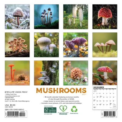 2027 Mushrooms Mini Wall Calendar