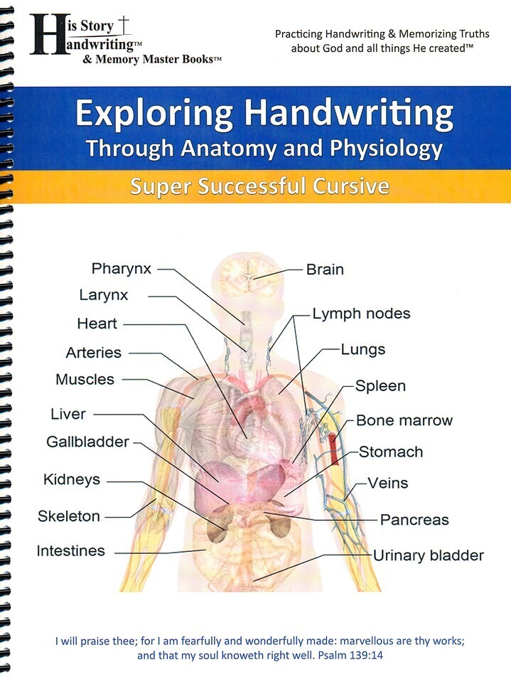 Exploring Handwriting Through Anatomy &amp; Physiology - CURSIVE