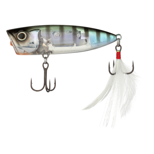 SHIMANO WORLD POP
