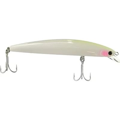 SP Minnow 13F