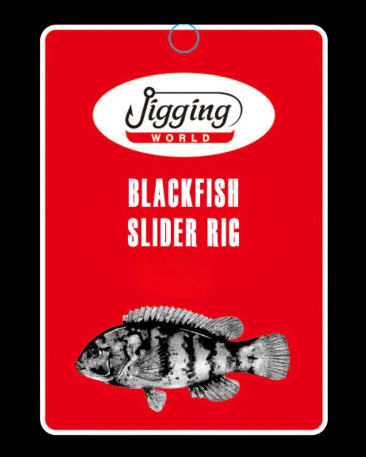 JW BLACKFISH RIG 