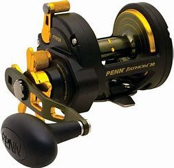 Penn Fathom II Star Drag Reels, Size: FTHII25NSD