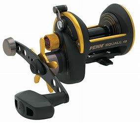 Penn Squall Star Drag Reels