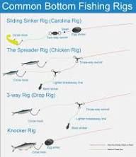 Manatee Rig Saltwater Rig