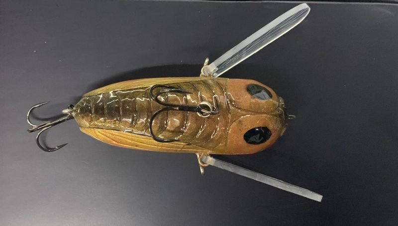 Crazy Cicada Handmade Walking lure