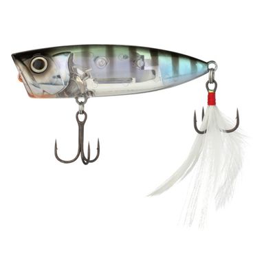 SHIMANO WORLD POP
