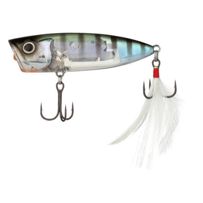 SHIMANO WORLD POP