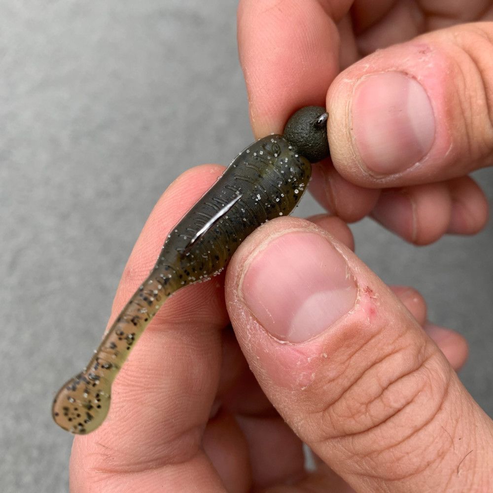 Great Lakes Finesse Flat Cat, Color: Green Pumkin FLT