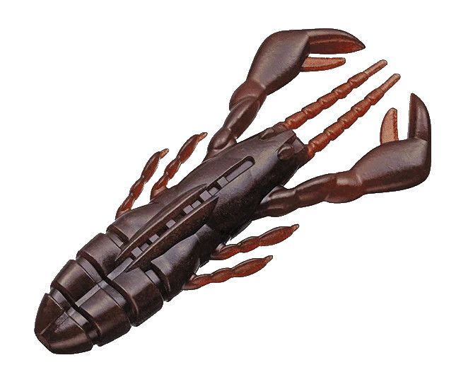 EVERGREEN CLAW MOTION 