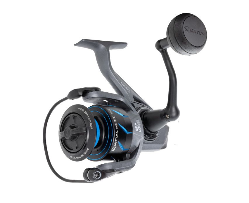 QUANTUM MERIT REEL , Size: MT2500.B2