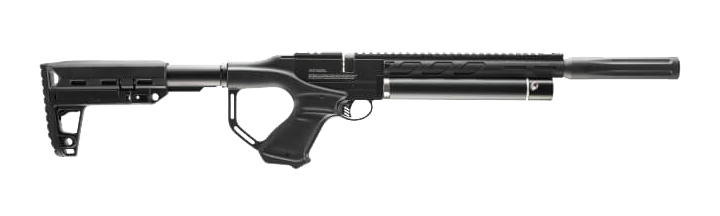 Umarex Notos Carbine .22