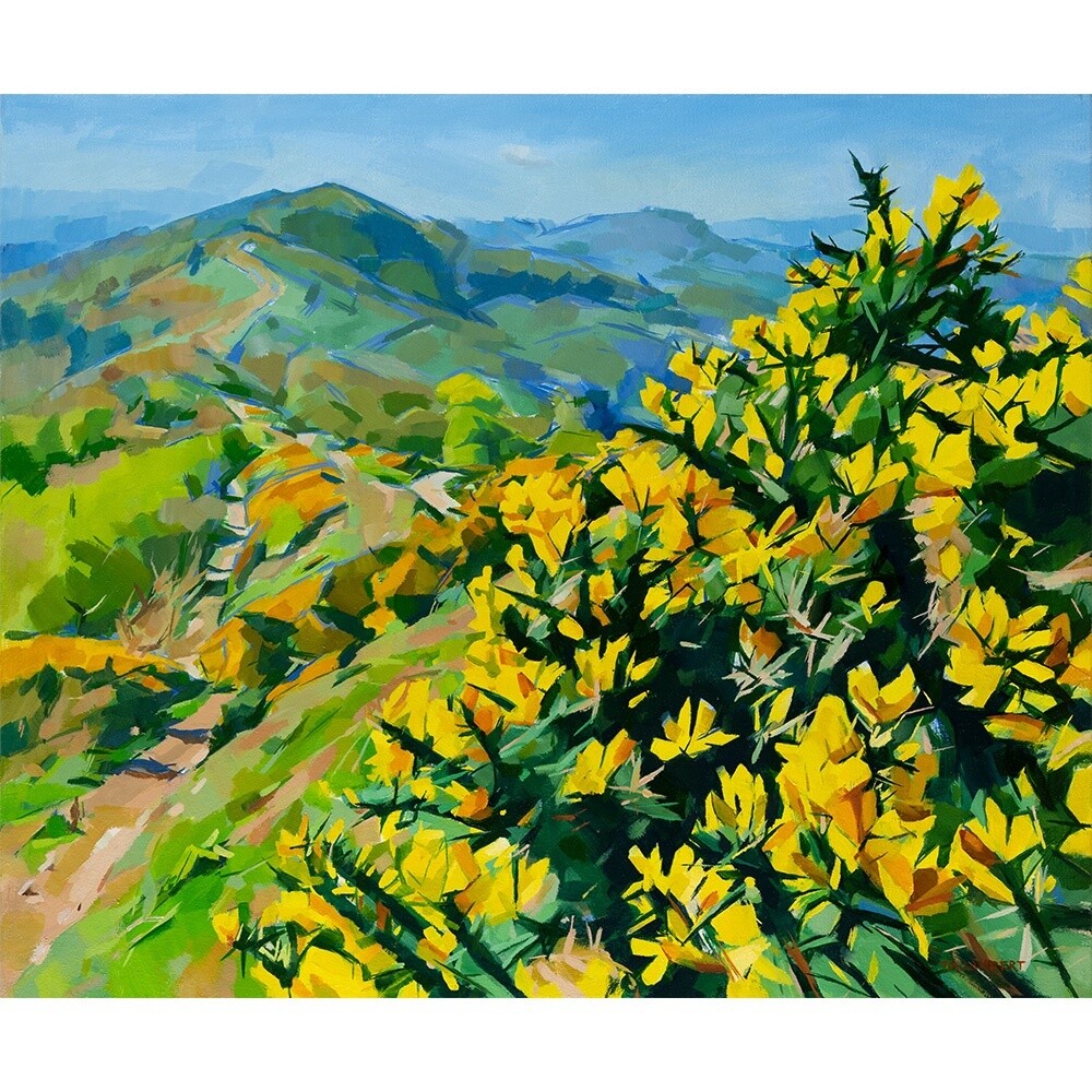 Yellow Gorse, Blue Hills - Giclee Print by Tia Lambert