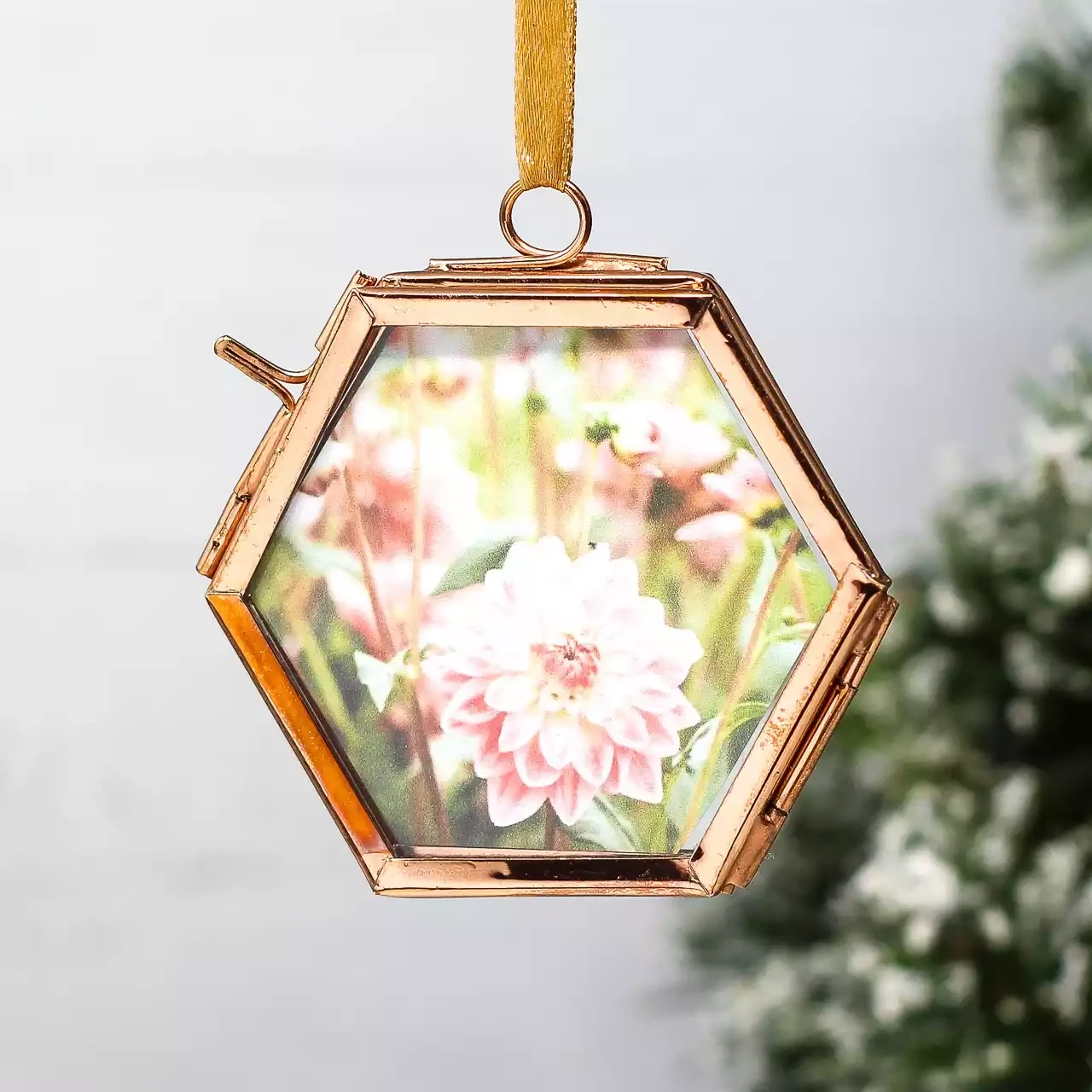 Alia Hanging Small Glass Photo Frame - Hexagon - Copper by Paper High