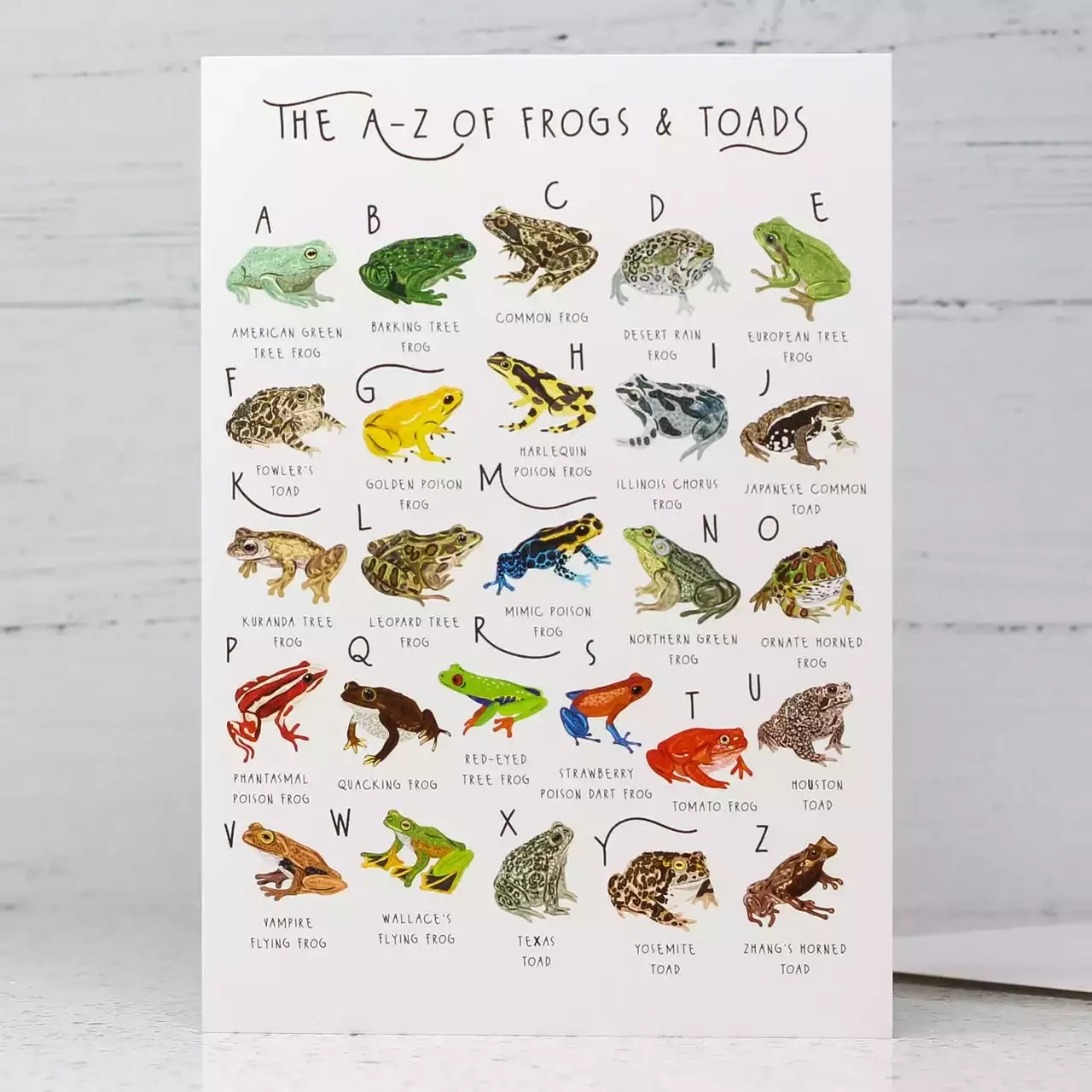 A-z of Frogs and Toads Card by Bea Baranowska