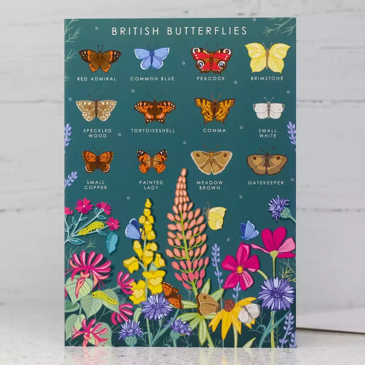 British Butterflies Card by Angie Spurgeon