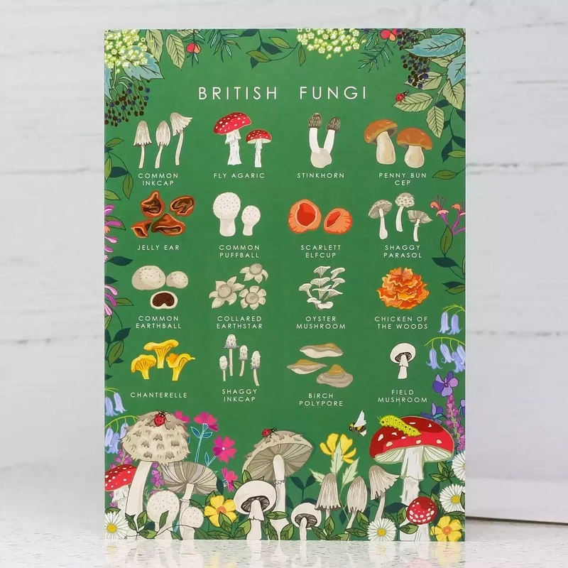 British Fungi Card by Angie Spurgeon