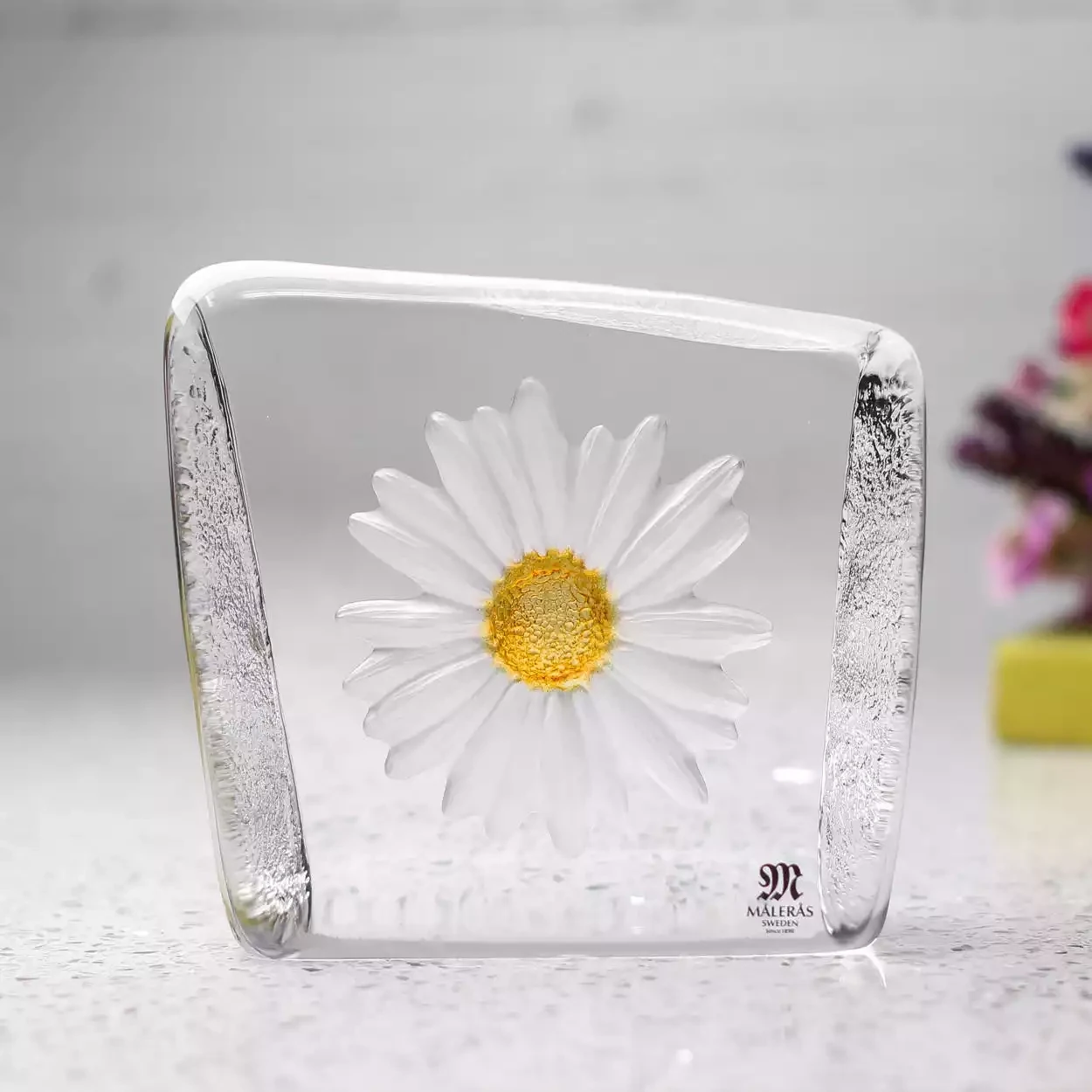 Daisy Flower Glass Sculpture by Mats Jonasson