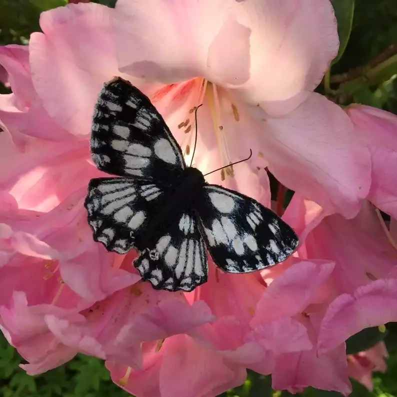 Hand Painted and Embroidered Fabric Brooch - Marbled White Butterfly by Vikki Lafford Garside