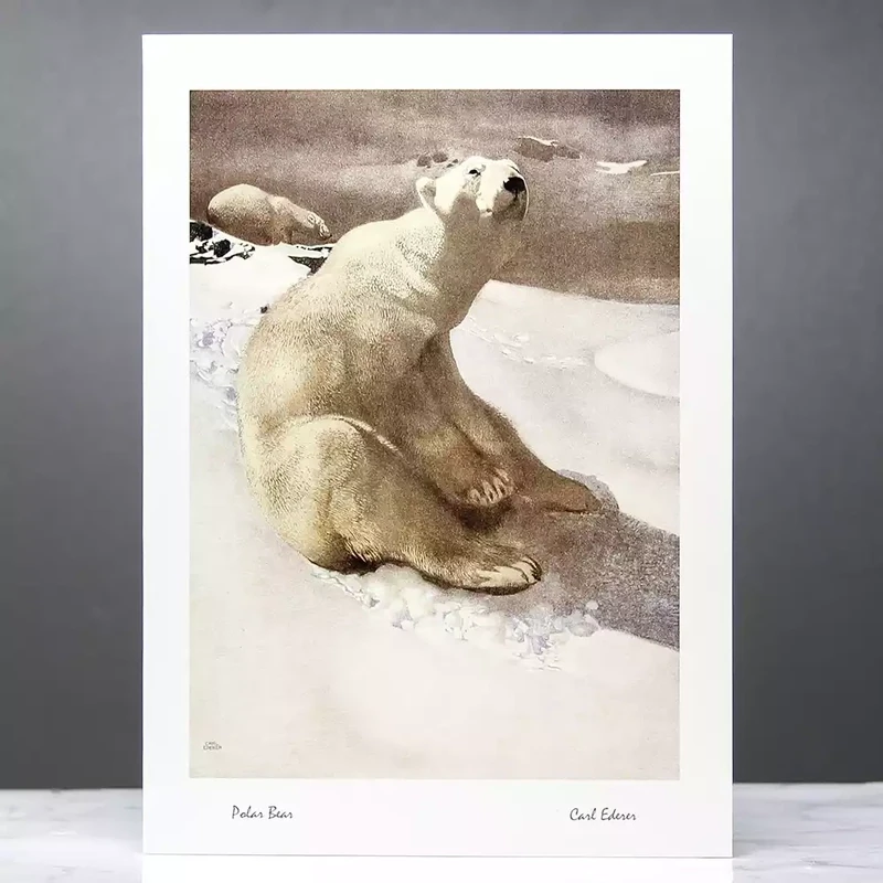 Polar Bear Card by Carl Ederer