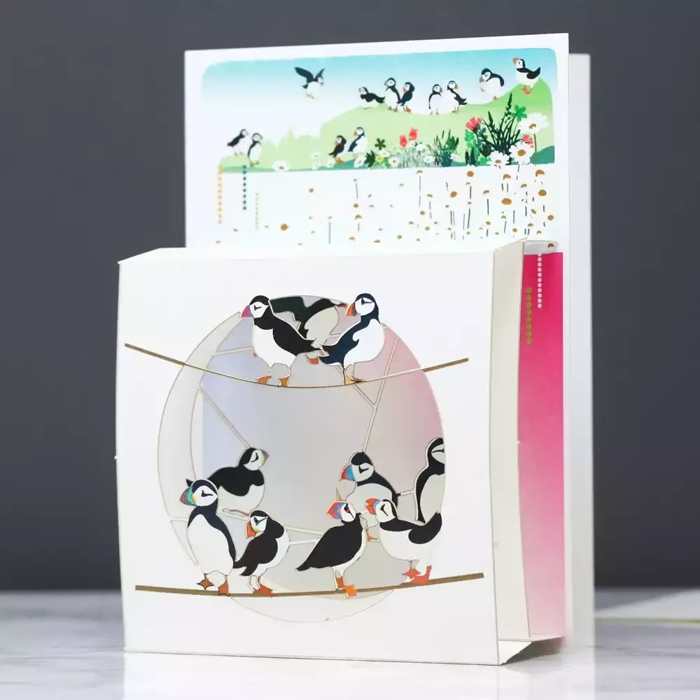 Puffins - Magic Box Pop Out Card by Ge Feng