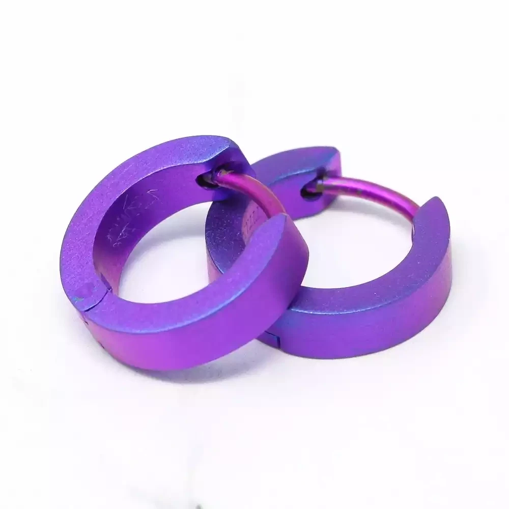 Titanium Full Hoop Earrings - Small - Purple by Prism Designs