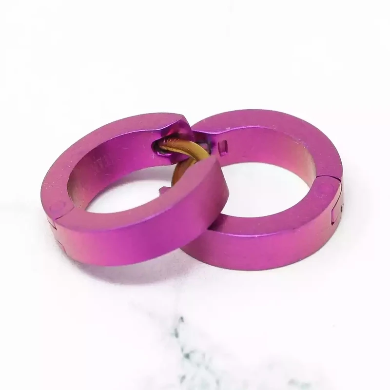 Titanium Full Hoop Earrings - Small - Pink by Prism Designs