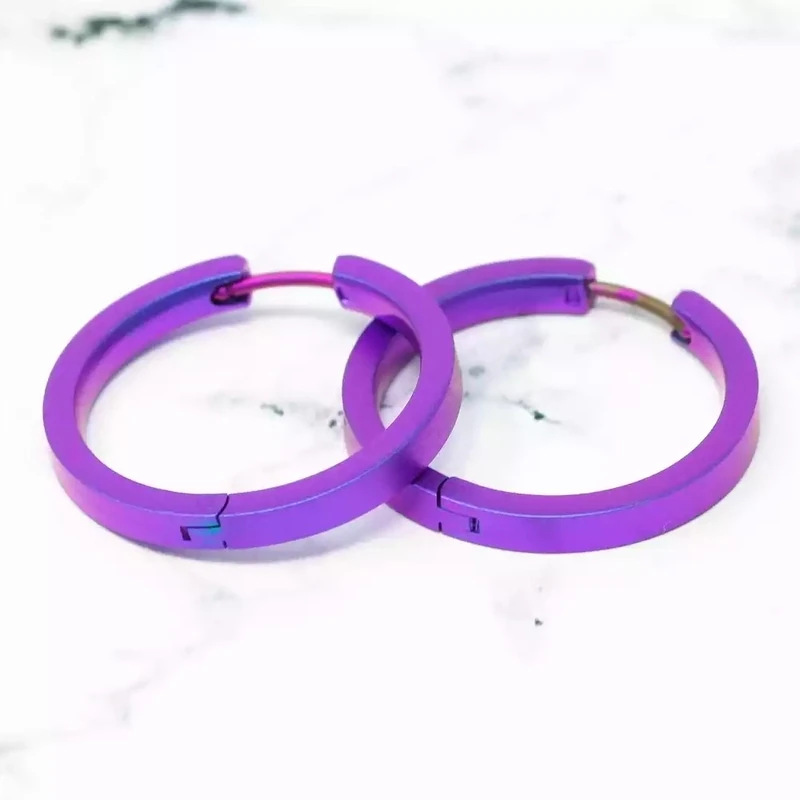 Titanium Full Hoop Earrings - Medium - Purple by Prism Designs