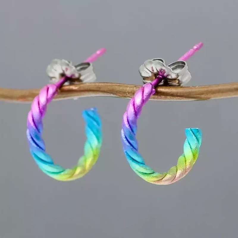 Titanium Twisted Hoop Earrings - Small - Rainbow by Prism Designs
