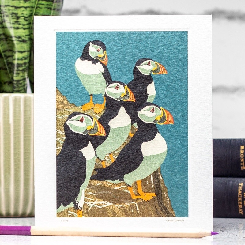 Puffins Card by Robert Gillmor