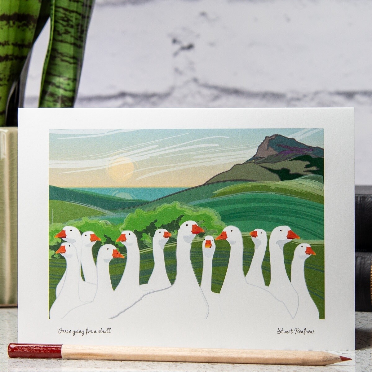 Geese Going for a Stroll Card by Stuart Renfrew