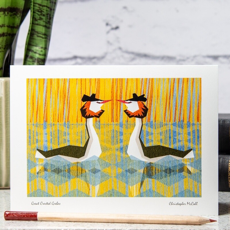 Great Crested Grebes Card by Christopher McColl