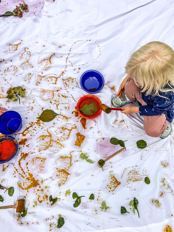 Nature Art Camp August 17-21 (5 days)