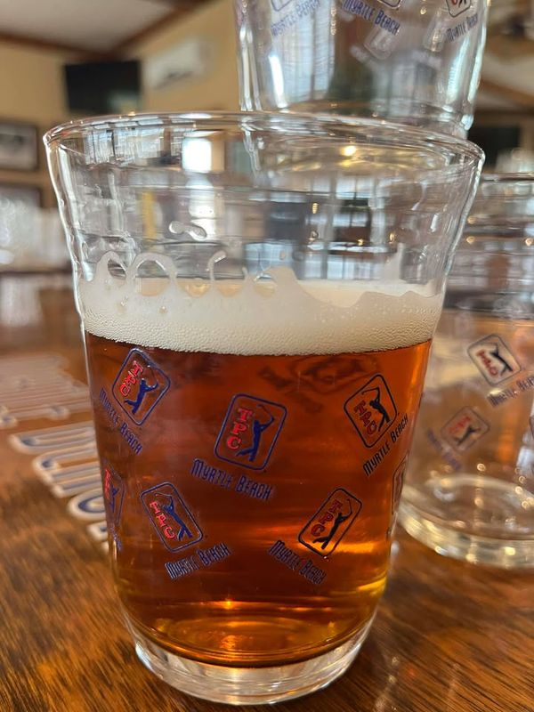 TS 16 oz Glass Party Cup