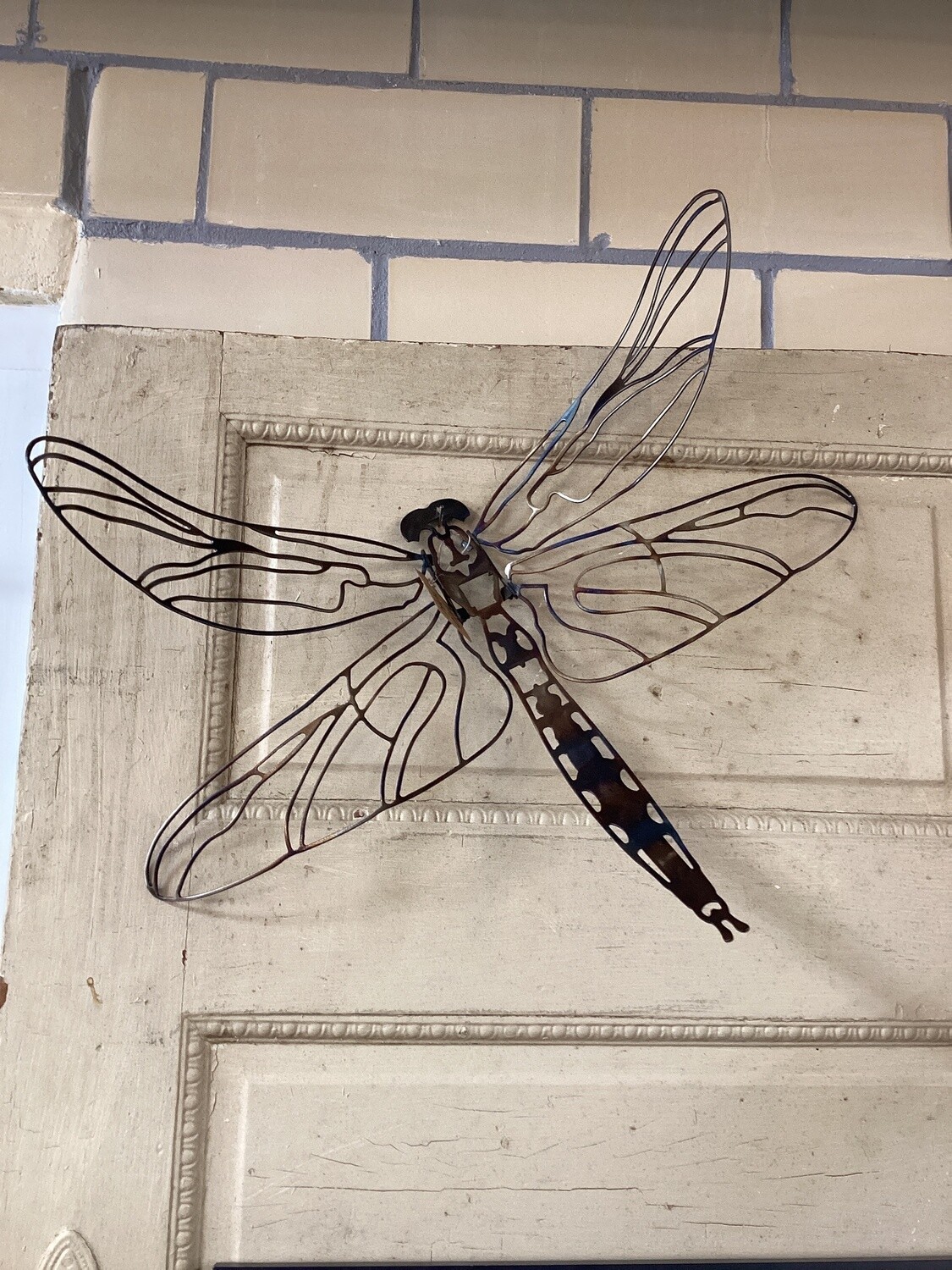 Dragon Fly