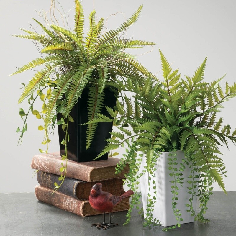 Potted Fern Green Blk Vase