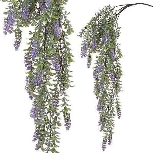 Hanging Lavender Vine